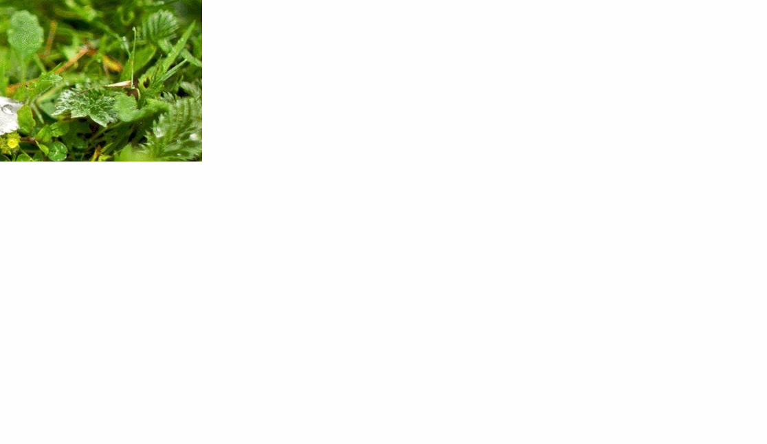 抖音热门很火的表白整蛊源码-七友源码